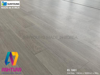 san-nhua-cuon-mua-o-dau